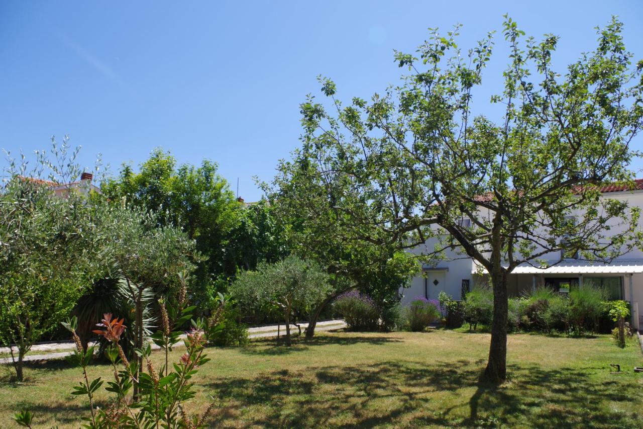 Holiday House Jasna Premantura Εξωτερικό φωτογραφία